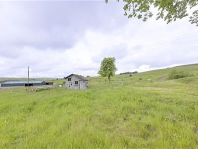 Picture 23